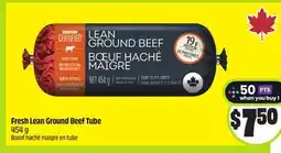 FreshCo Fresh Lean Ground Beef Tube 454g offer