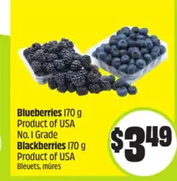 FreshCo Blueberries 170 Product of USA No. I Grade, Blackberries 170 g Product of USA offer