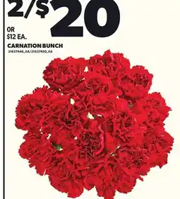Independent City Market CARNATION BUNCH offer