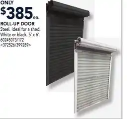 RONA ROLL-UP DOOR offer