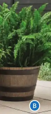 RONA BARREL PLANTERS 16 offer