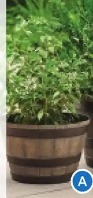 RONA BARREL PLANTERS 14.4 offer