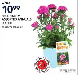 RONA BEE HAPPY ASSORTED ANNUALS offer