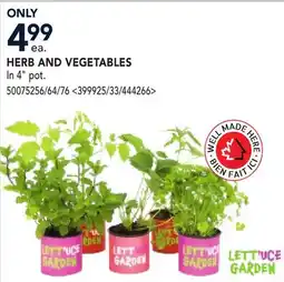 RONA HERB AND VEGETABLES offer