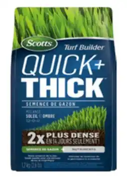 BMR SEMENCES DE GAZON  QUICK+THICK  offer