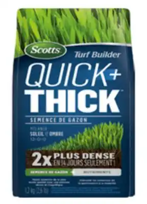 BMR SEMENCES DE GAZON  QUICK+THICK  offer