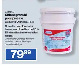 Patrick Morin Granulated Chlorine for Pools offer