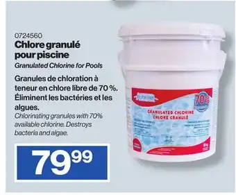 Patrick Morin Granulated Chlorine for Pools offer