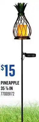 Canac Solar Light offer
