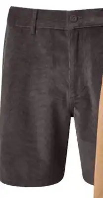 Sports Experts RIPZONE Finn Men's shorts (19'') offer