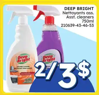 Rossy DEEP BRIGHT Asst. cleaners offer