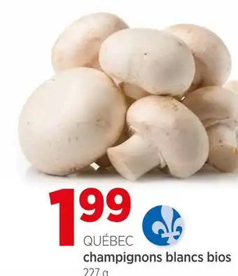Avril Champignonns blancs bios offer