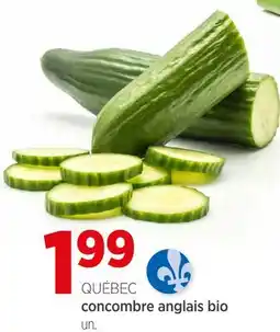 Avril concombre anglais bio offer