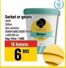 Mayrand Sorbet or gelato QUEBEC offer