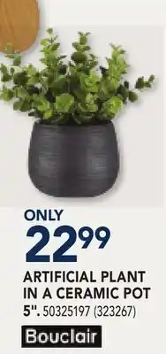 RONA BOUCLAIR ARTIFICIAL PLANT IN A CERAMIC POT 5 offer
