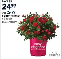 RONA ASSORTED ROSE offer