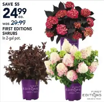 RONA FIRST EDITIONS SHRUBS offer