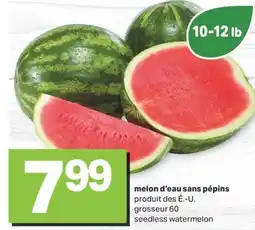 L'Intermarché MELON D'EAU SANS PÉPINS offer