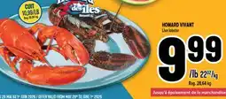 Marché Adonis HOMARD VIVANT | LIVE LOBSTER offer