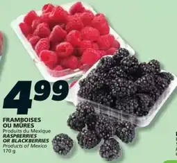 IGA Raspberries or blackberries offer