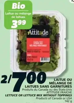 IGA Lettuce or lettuce mix without toppings offer