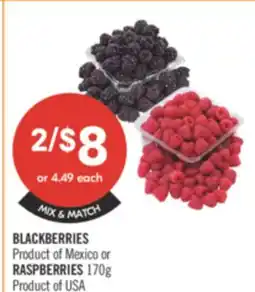 Shoppers Drug Mart BLACKBERRIES or RASPBERRIES 170 g offer