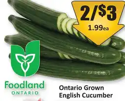 Starsky Ontario Grown English Cucumber offer