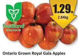 Starsky Ontario Grown Royal Gala Apples offer