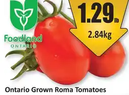 Starsky Ontario Grown Roma Tomatoes offer