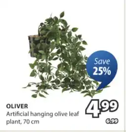 JYSK OLIVER Artificial hanging olive leaf plant offer