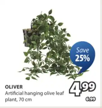 JYSK OLIVER Artificial hanging olive leaf plant offer