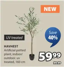 JYSK HAVHEST Artificial potted plant offer