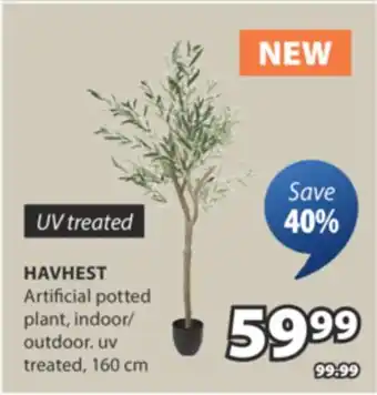 JYSK HAVHEST Artificial potted plant offer
