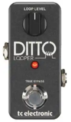 Long & McQuade Ditto Looper Pedal offer