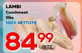 Marche Salaberry Lambi Conchmeat offer