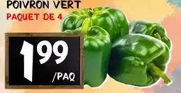 Marche Salaberry POIVRON VERT offer