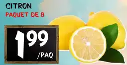 Marche Salaberry CITRON offer