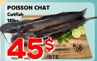 Marche Salaberry Poisson Chat offer