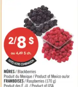 Pharmaprix Blackberries Product of Mexico or Raspberries (170 g) Product of USA offer