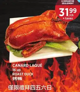 Kim Phat ROAST DUCK offer