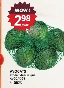 Kim Phat AVOCADOS offer