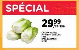 Kim Phat NAPA CABBAGES offer