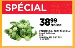 Kim Phat SHANGHAI BOK CHOY TIPS offer