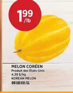 Kim Phat KOREAN MELON offer