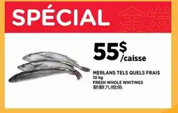Kim Phat FRESH WHOLE WHITINGS offer