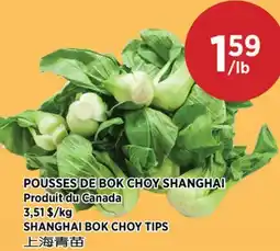 Kim Phat SHANGHAI BOK CHOY TIPS offer