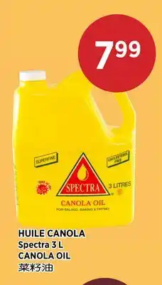 Kim Phat Spectra CANOLA OIL offer
