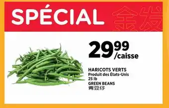 Kim Phat GREEN BEANS offer