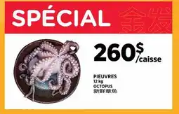 Kim Phat OCTOPUS offer