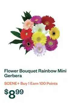 Voilà Flower Bouquet Rainbow Mini Gerbera offer